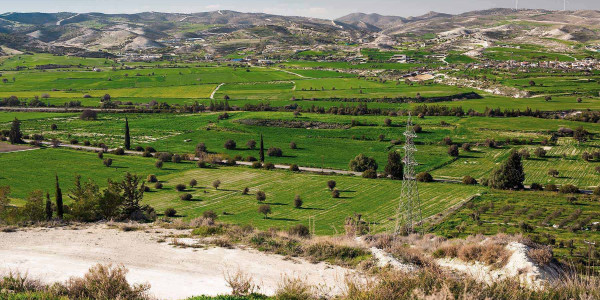 Estudios de suelos para agricultura en el Baix Penedès