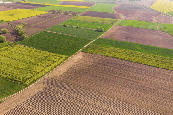 Estudios Edafológicos · Ingenieros Geotécnicos y Geofísicos Llorenç del Penedès